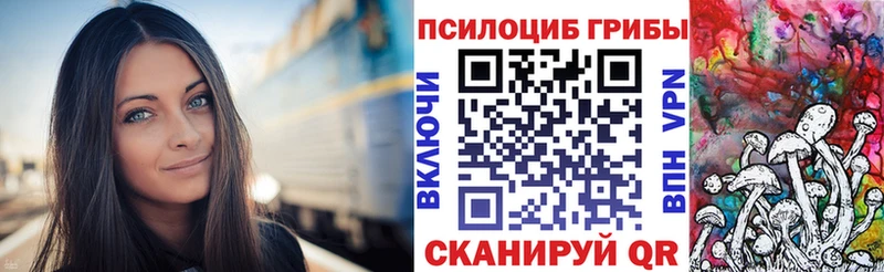 Псилоцибиновые грибы Psilocybe  Липецк 